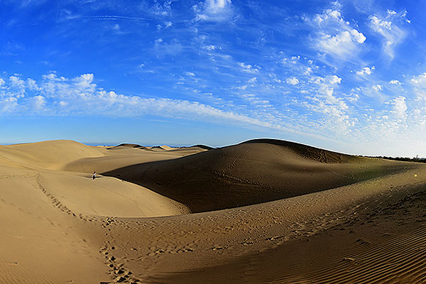 the dunes of Maspalomas