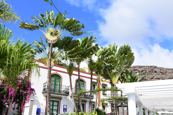 nice houses for photo shoots in the harbor Puerto de Mogan